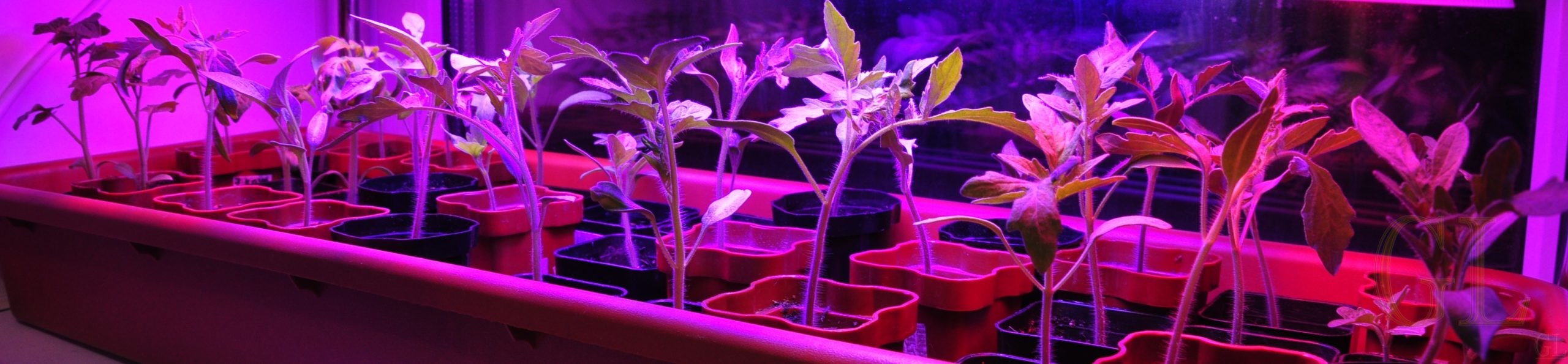 Светильники для роста растений